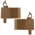 Coyote Brown
