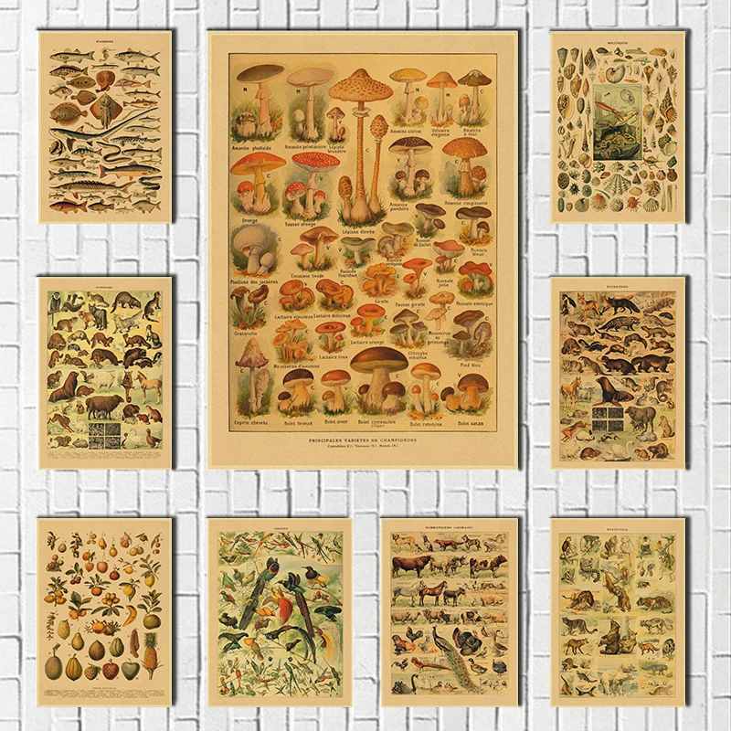 Vintage Classic Wall Art Plants Mushroom Medicine Flower Insect Butterfly Vegetable Pumpkin Carrot Oil Kraft Paper Poster