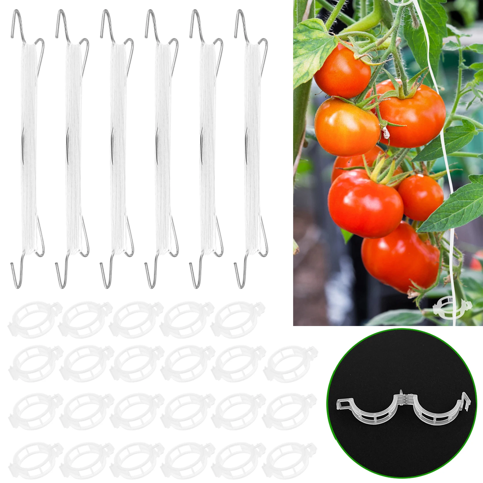 

Tomato Support Hook Plant Vegetable Garden Clips Promote Growth To Prevent Tomatoes Fruit Cluster From Pinching or Falling Off