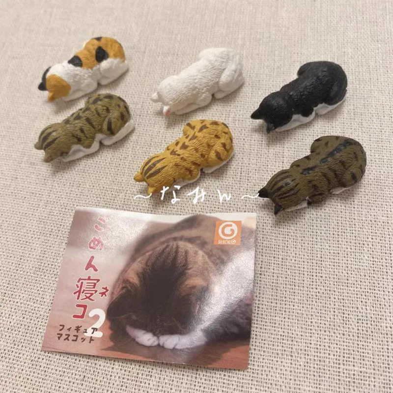 Original SHINE-G Gashapon eine Katze dösen auf dem Bauch qversion Mini Anime Action figur Modell Spielzeug Geschenks ammlung Ornament