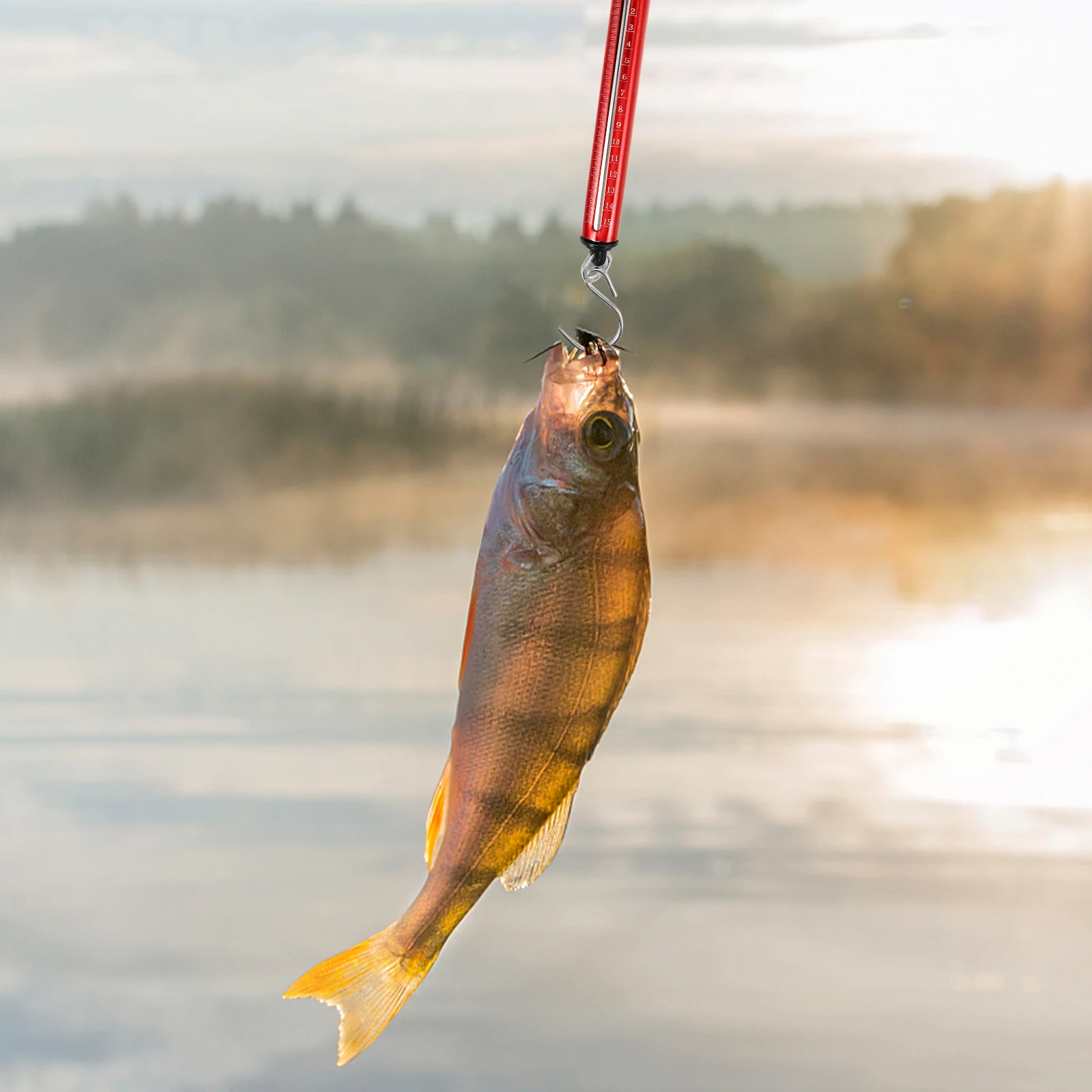 

Spring Scale Portable Handheld Luggage Hanging Mini Mechanical Travel Weight Scale Spring Scales Hanging Scales