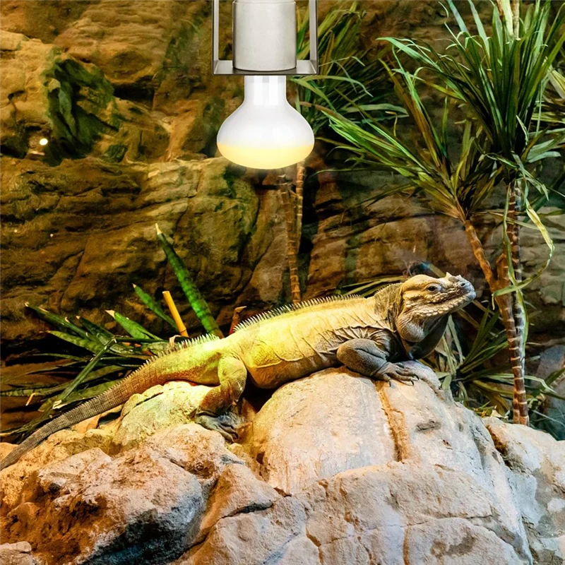 ALIM-Reptile  Socket Heat Lamp Holder Lizard Heat Lamp Bracket Light Heat Lamp Socket Heat Lamp Fixture EU Plug