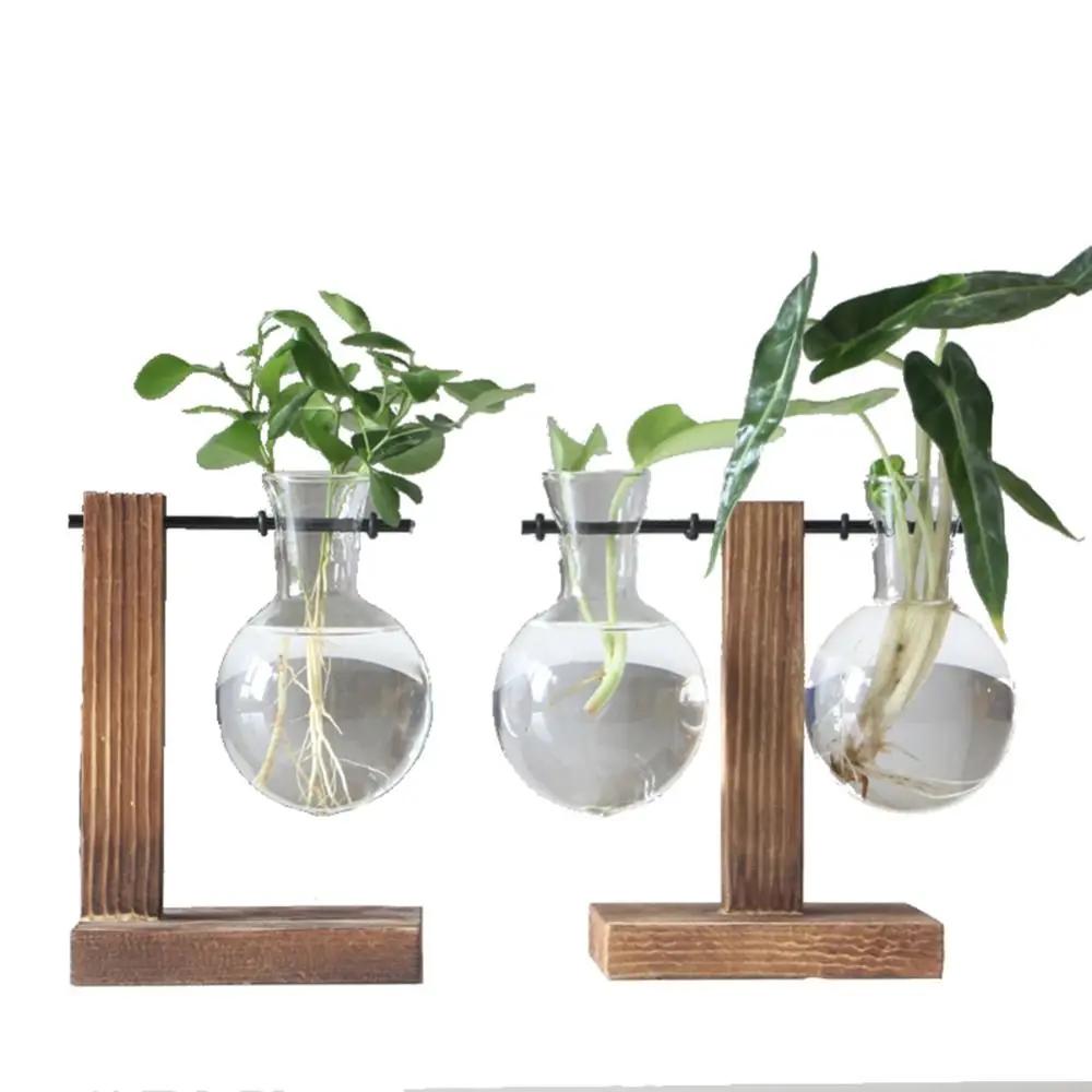 Hydroponic Plant Glass Vase Vintage Flower Pot Terrarium Wooden Frame Tabletop Tray Home Decor