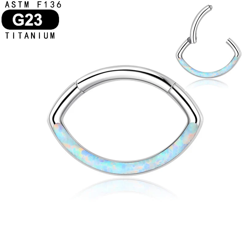 

Oval Shape 16 Gauge 8mm Diameter F136 Titanium Hinged Clicker Segment Ring Cartilage Helix Tragus Earrings Piercing Jewelry