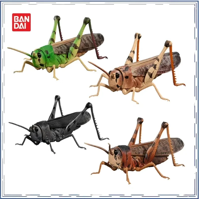 BANDAI Locusts Grass Hoppers Locusts Biological Encyclopedia Gashapon Christmas Gifts for Children Action Figure Model Toys