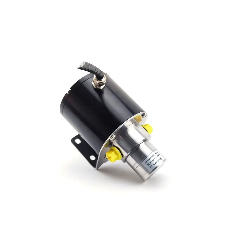 Fluidsmart FSG318D 5LPM 24V DC Stainless Steel High Pressure 7Bar Magnetic Micro Gear Pump OEM Compatible Water Pump