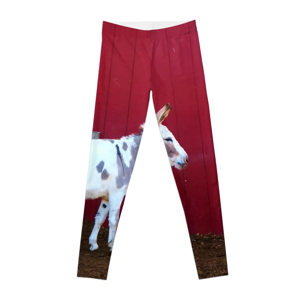 

Spotted Donkey Red Barn Leggings Clothing fitness gym pants Womens Leggings