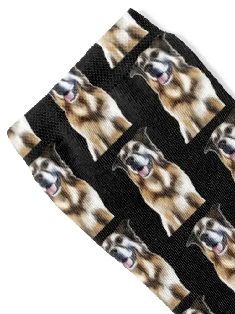 German Shepherd cross dog digital painting Socks Sports Crossfit custom Socks Men's Women's