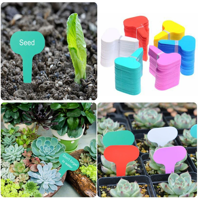 25/50/100pcs Garden Labels Plant Classification Sorting Sign Tag Ticket Plastic Writing Plate Board Plug In Card Colorful