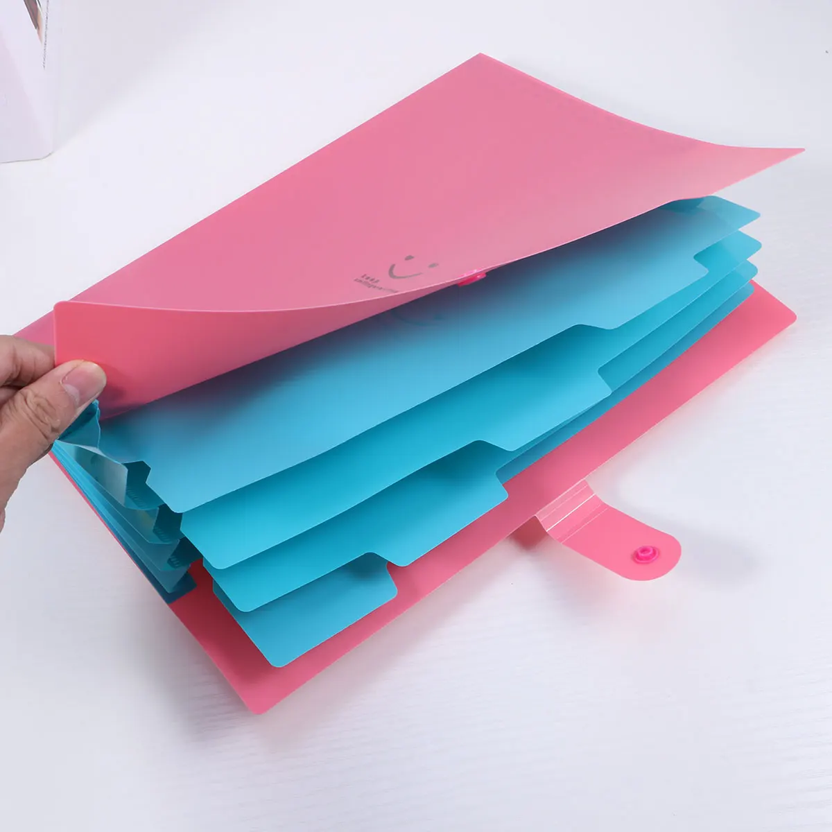 

5 Pcs File Bag Information Folder Pockets with Snap Closure Expanding Accordion