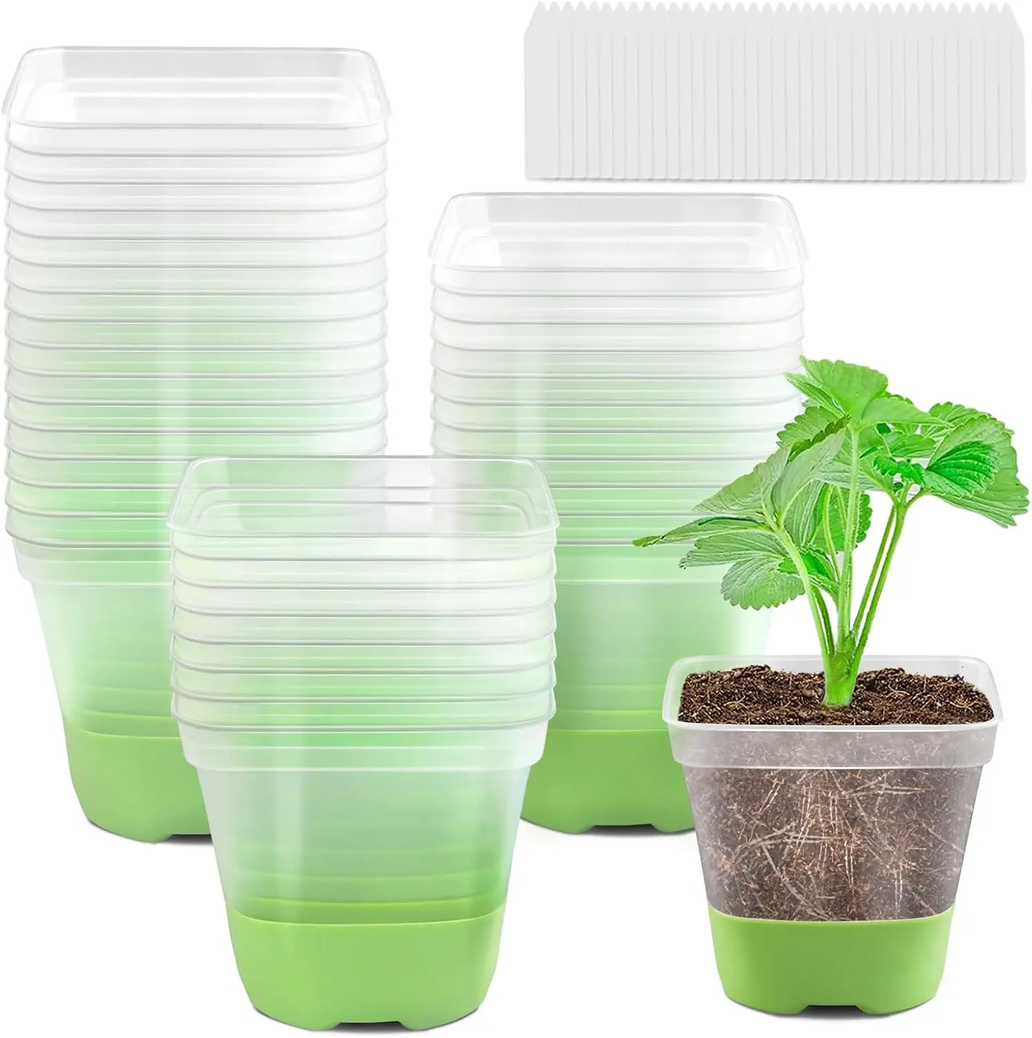 

36 Pack 4 Inch Square Plastic Nursery Pots, Clear Plant Pot with Soft Silicone Base, Flower Pots with Drainage Holes, Re