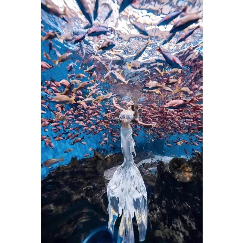 

Mermaid tail swimsuit aquarium shooting performance fish skin beautiful dragonfly
