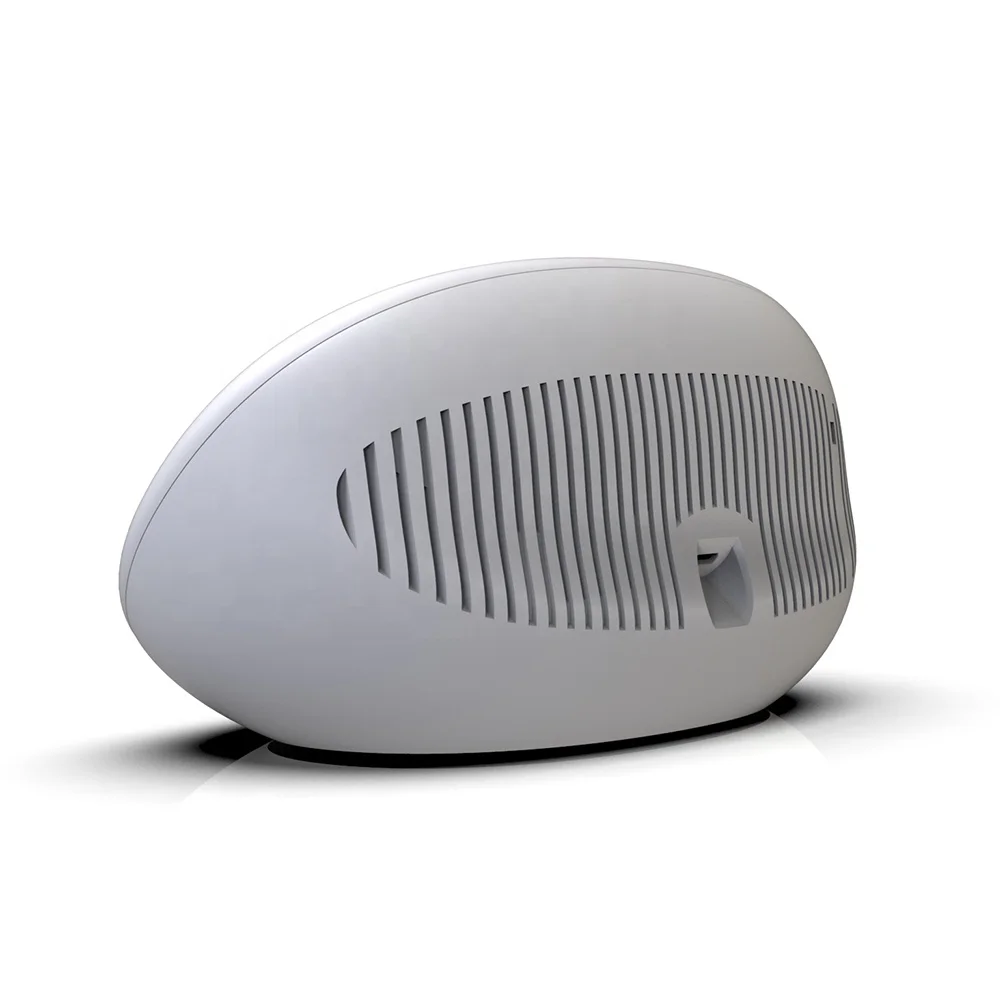 Espanha, Portugal San Mario, Malta e Andorra recomenda detectores de dióxido de carbono em escolas