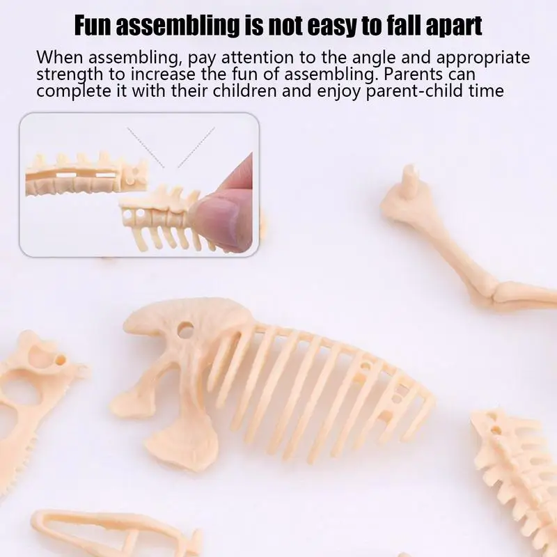Kit de creusement fossile de dinosaure, squelette de dinosaure, jouet d'excavation archéologique, modèle Spinosaurus, jouets éducatifs scientifiques pour enfants  26