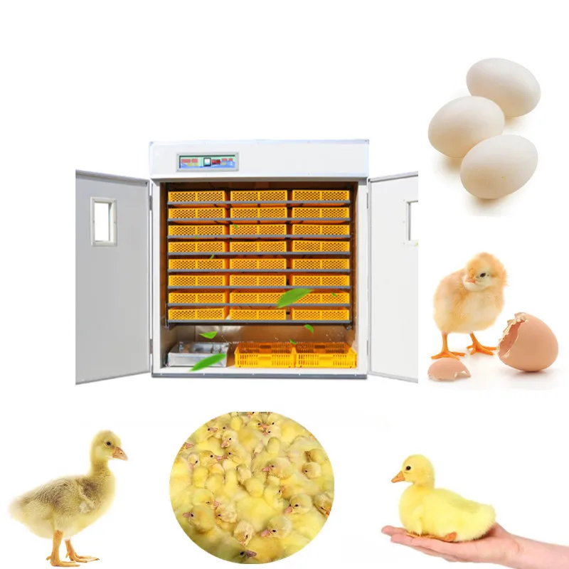 Automatic computer-controlled egg incubator