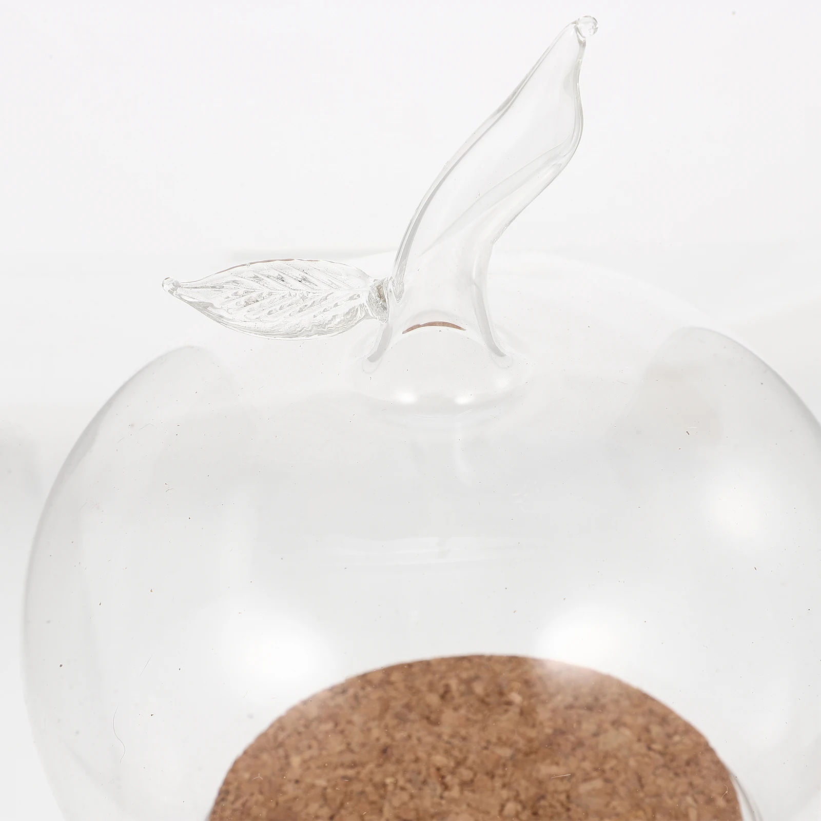 

Delicate Glass Cover Eternal Preserved Flower Cover With Wood Base Transparent Micro Landscape Dome Exquisite Decor Glass Flower