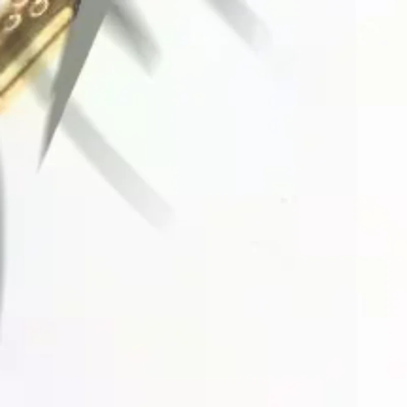 

【NEW】2/4Pcs GWS7-115 Carbon Brush For Angle Grinder Replacement Carbon Brushes Power Tools Accessories