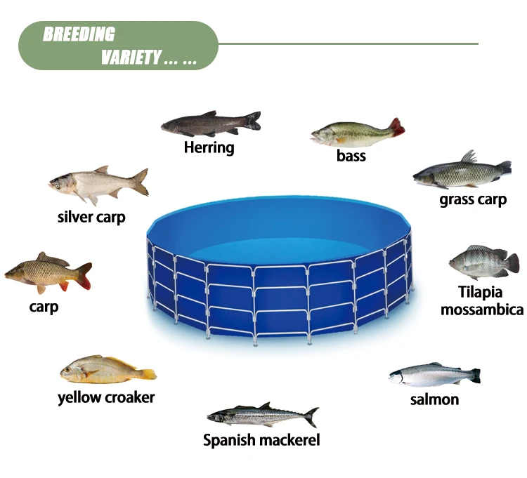 20m3 Aquaculture Rotary Drum Filter Fishing Farm Water Filtration System Equipment