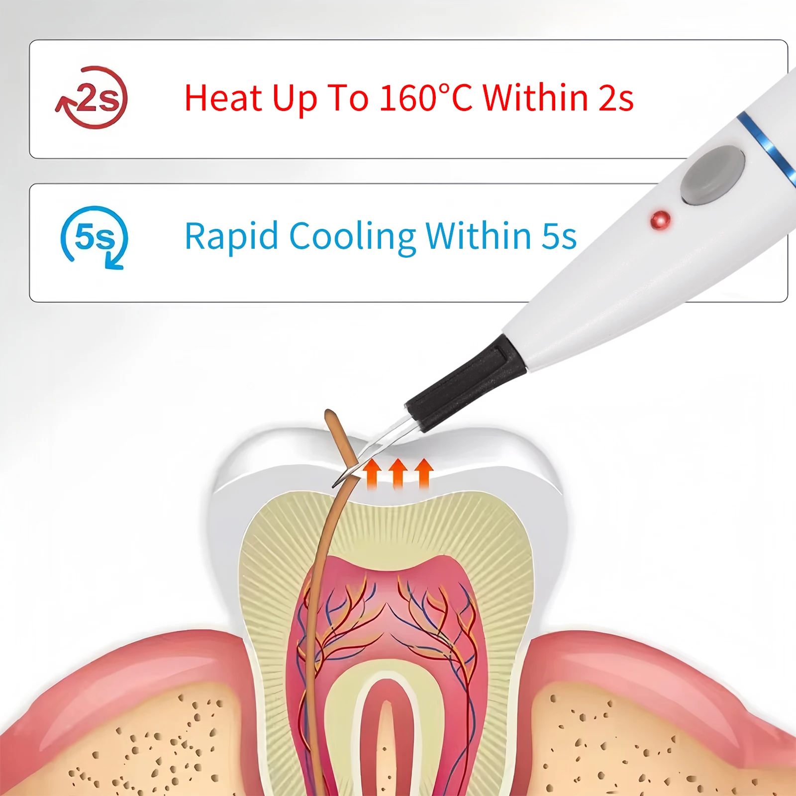 

SANDENT Cordless Dental Gutta Percha Tooth Gum Cutter Clinic Machine Dental Heating Cutter with Heated 4 Tips