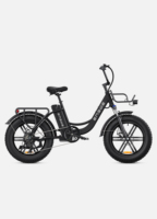 ENGWE Electric Bicycle 250W Powerful Motor 48V13Ah Lithium Battery 20*4\