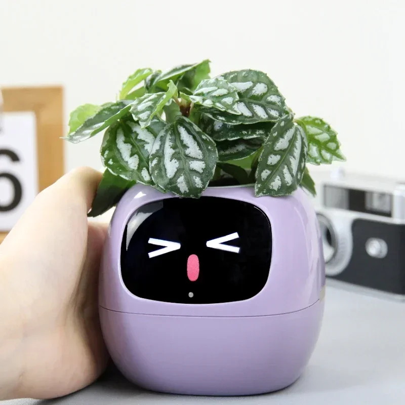 

Smart Cute Pet Small Flower Pot Ivy Desktop Green Plant Allows Your Plants to Express Emotions