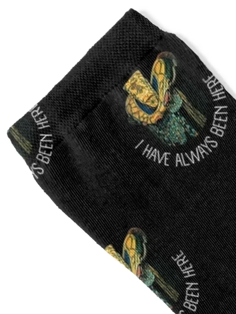 The Ambassador - I have always been here - Black - Sci-Fi Socks gifts Stockings compression winter gifts Boy Child Socks Women's