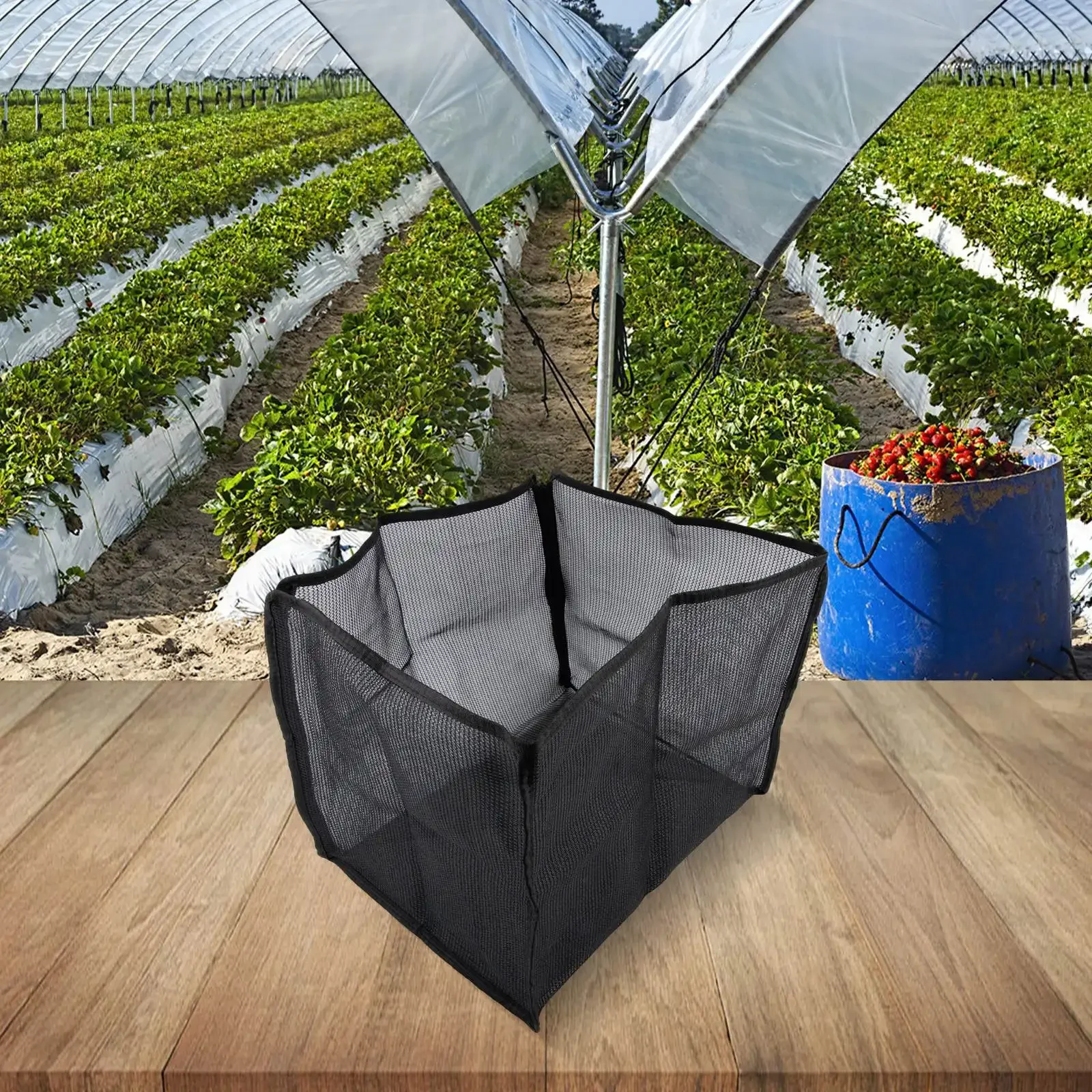 

Compact Mushroom Cultivation System Mushroom Cultivation Sunshade Accessory Mushroom Planting Box Weather Resistant