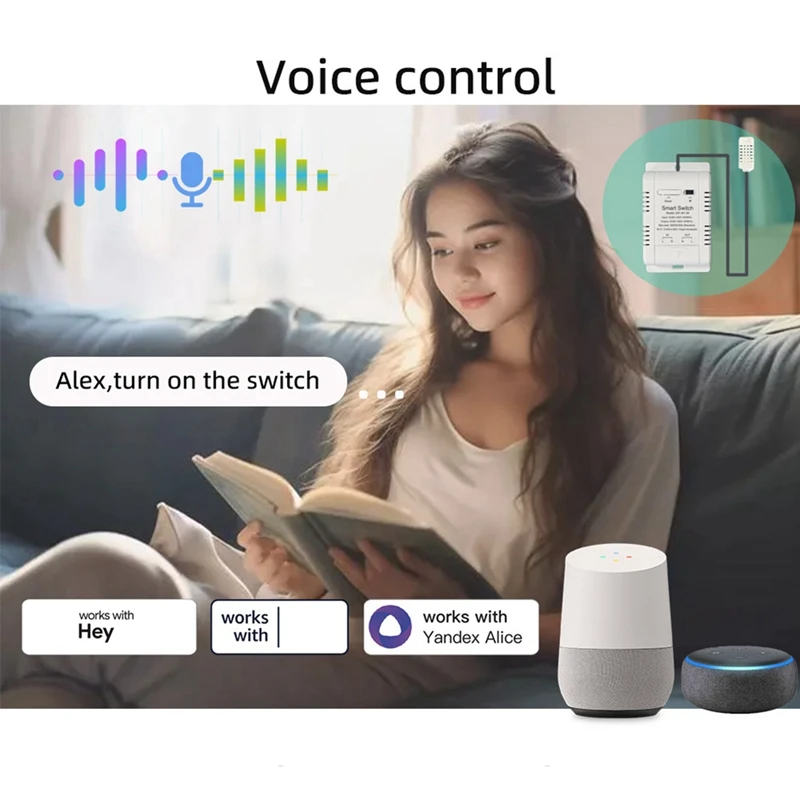 A14F-Ewelink Smart Temperature Switch 20A With Temperature Sensor Support Remote Control For Fish Tank Greenhouse Planting