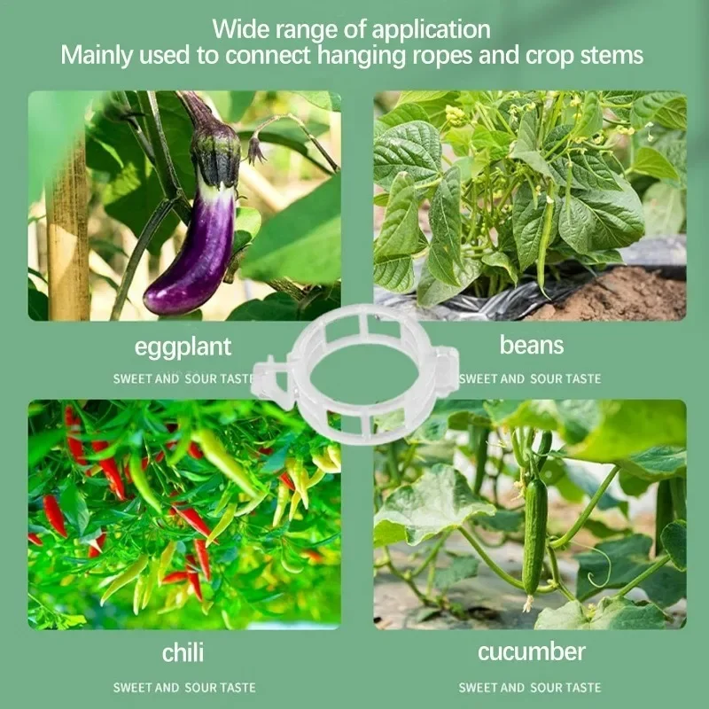300/50 szt. Klipsy do roślin podtrzymują plastikowe łączenie wielokrotnego użytku, przypinanie łodygi pomidora, rośliny do ogród sad roślin