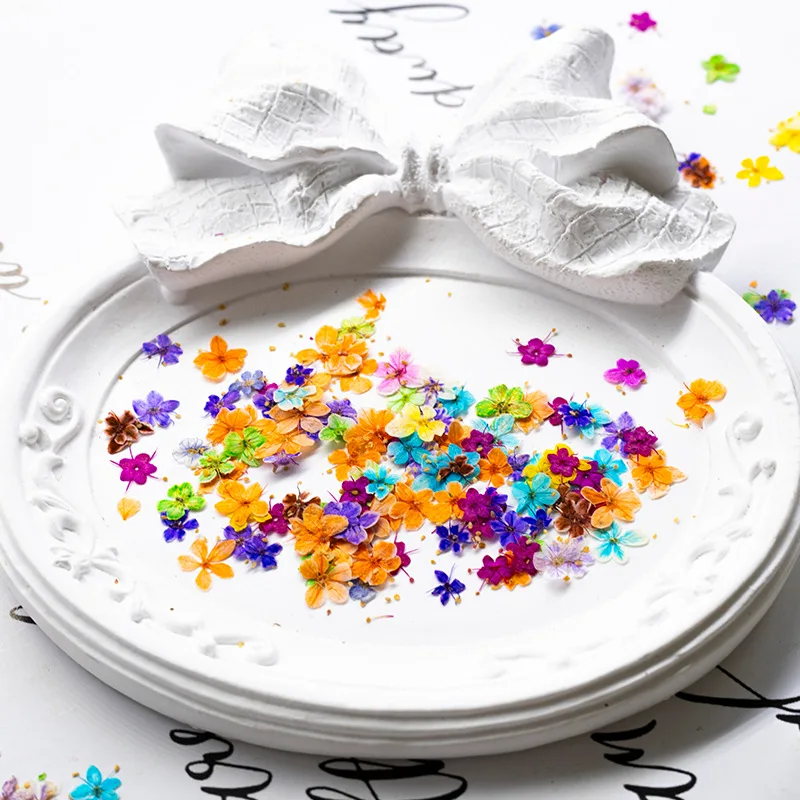 24 Stück, gepresste blaue Trockenblumen aus Spitze für DIY-Harzschmuck, Lesezeichen, Grußkarten, Scrapbooking, Aromatherapie, Kerzen, Bastelzubehör – Detail 3