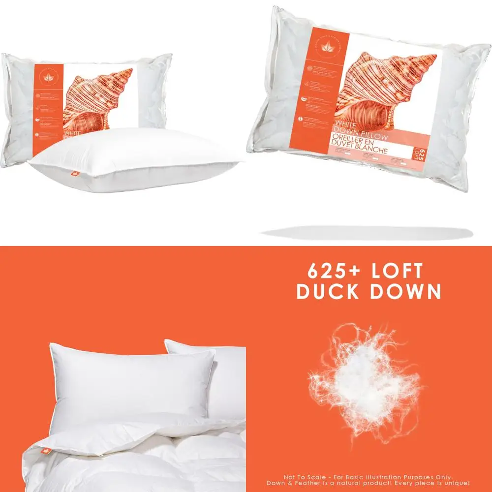 شركة Canadian Down & Feather - وسادة بيضاء فاخرة بقوة 625 مقاس كوين - عدد 500 خيط 100% قطن - M #1