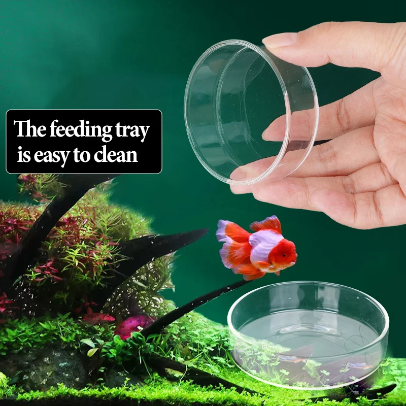 Aquarium Feeding Bowl Fish Tank Feeder Shrimp Tropical Fish Ratfish Glass Feeding Dish Clear Round Tray Reduce Food Scraps