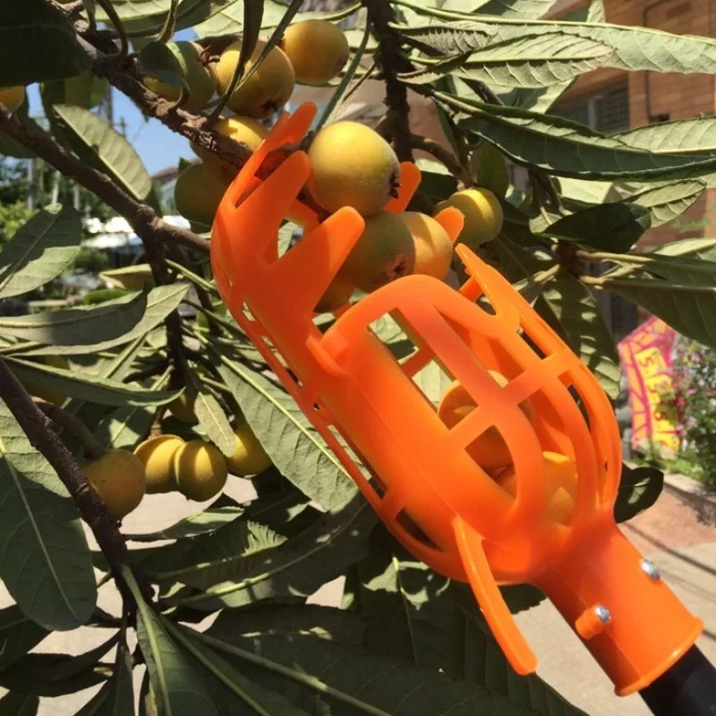 

Device for Bayberry Loquat Plum Jujube Apricot Multifunctional Garden Picking ToolFruit Picker Tool High Branch Harvest