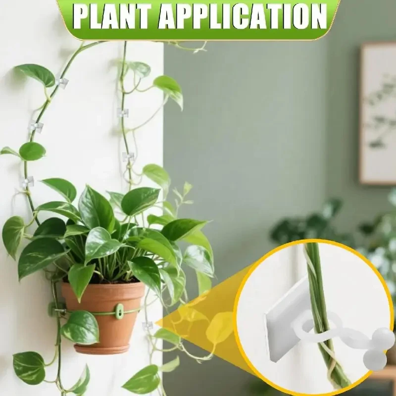 20/40pcs Garden Plant Climbing Wall Clips Vine Buckle Hook Rattan Clamp Fixator Self-Adhesive Plant Stent Invisible Vine