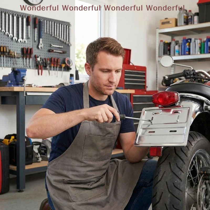 

Heavy Duty Motorcycle License Plate Frame Standard Mount Holder Vibration Resistant for Urban Commute and Offroad Journeys