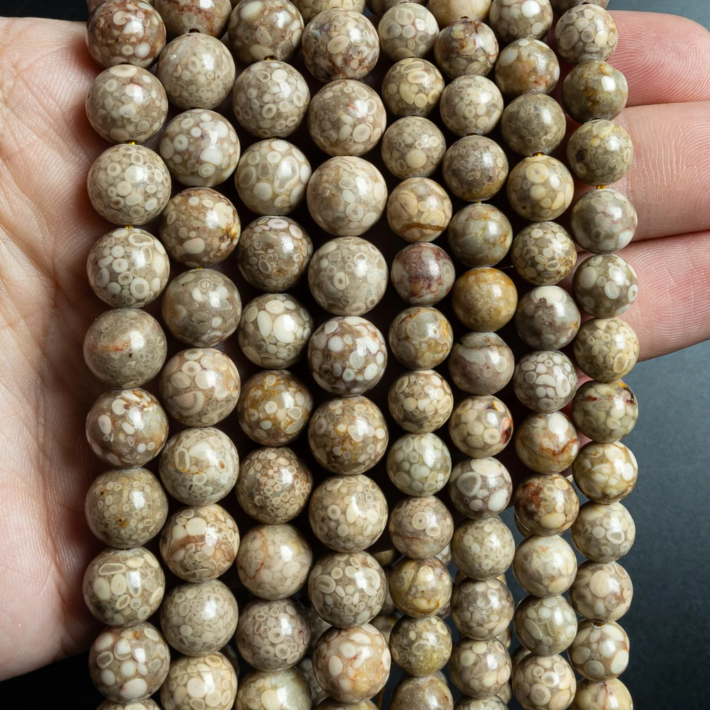 Genuine 8/10mm Natural Fossil Coral Round Loose Beads for Jewelry Making Brown Coral Gemstone Beads Bulk Supply