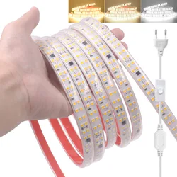 220V LED Light Strip with Switch EU Power Plug 240LEDs/M 2835 Waterproof Flex Ribbon Tape Warm White 0.5M 1M 2M 5M 10m20M 30M