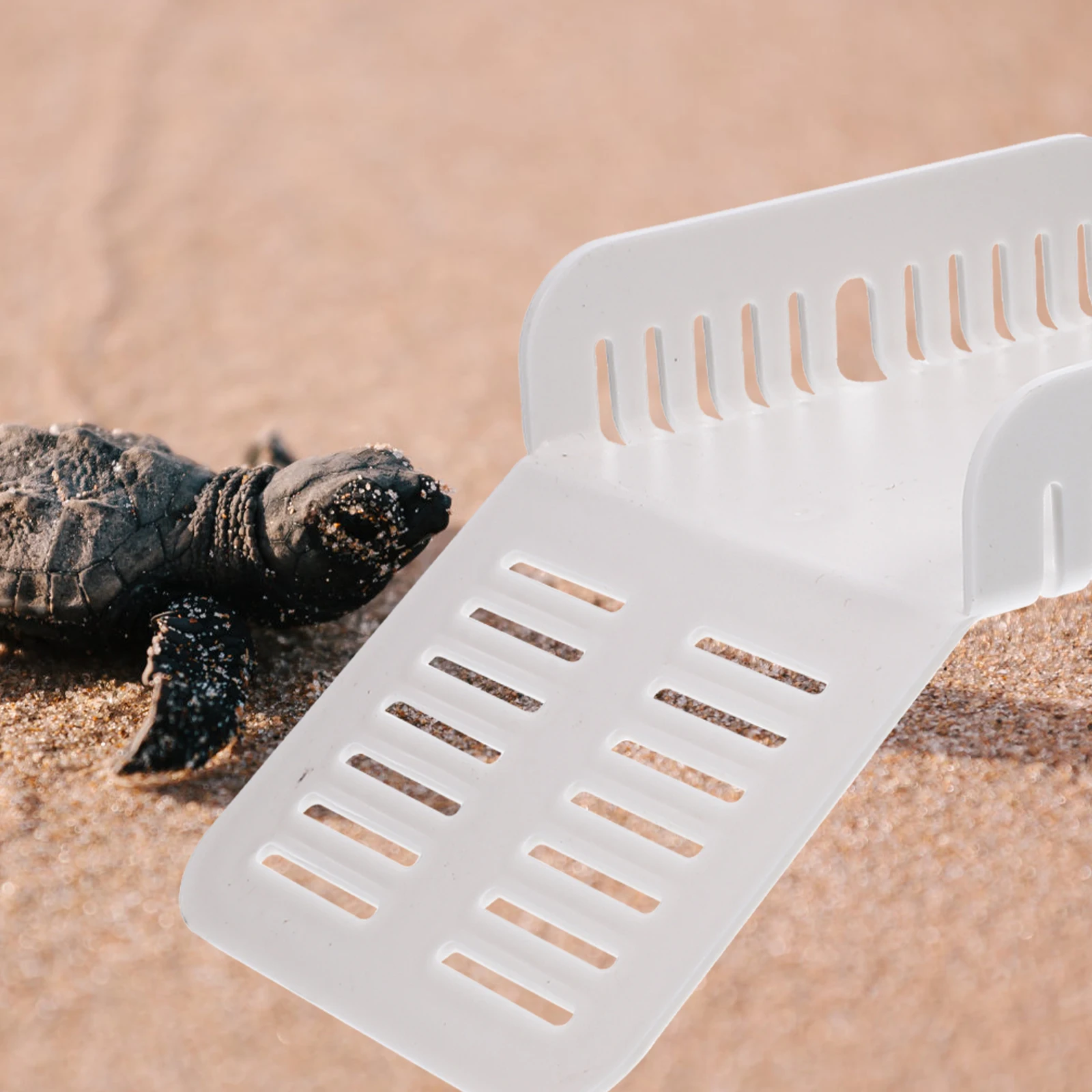 

2 Pcs Turtle Terrace Reptile Accessories Ramp Sea Reptiles Basking Platform Accessory Floating Desktop Ledge