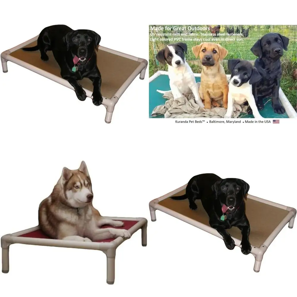 Durable Chew-Resist… - image