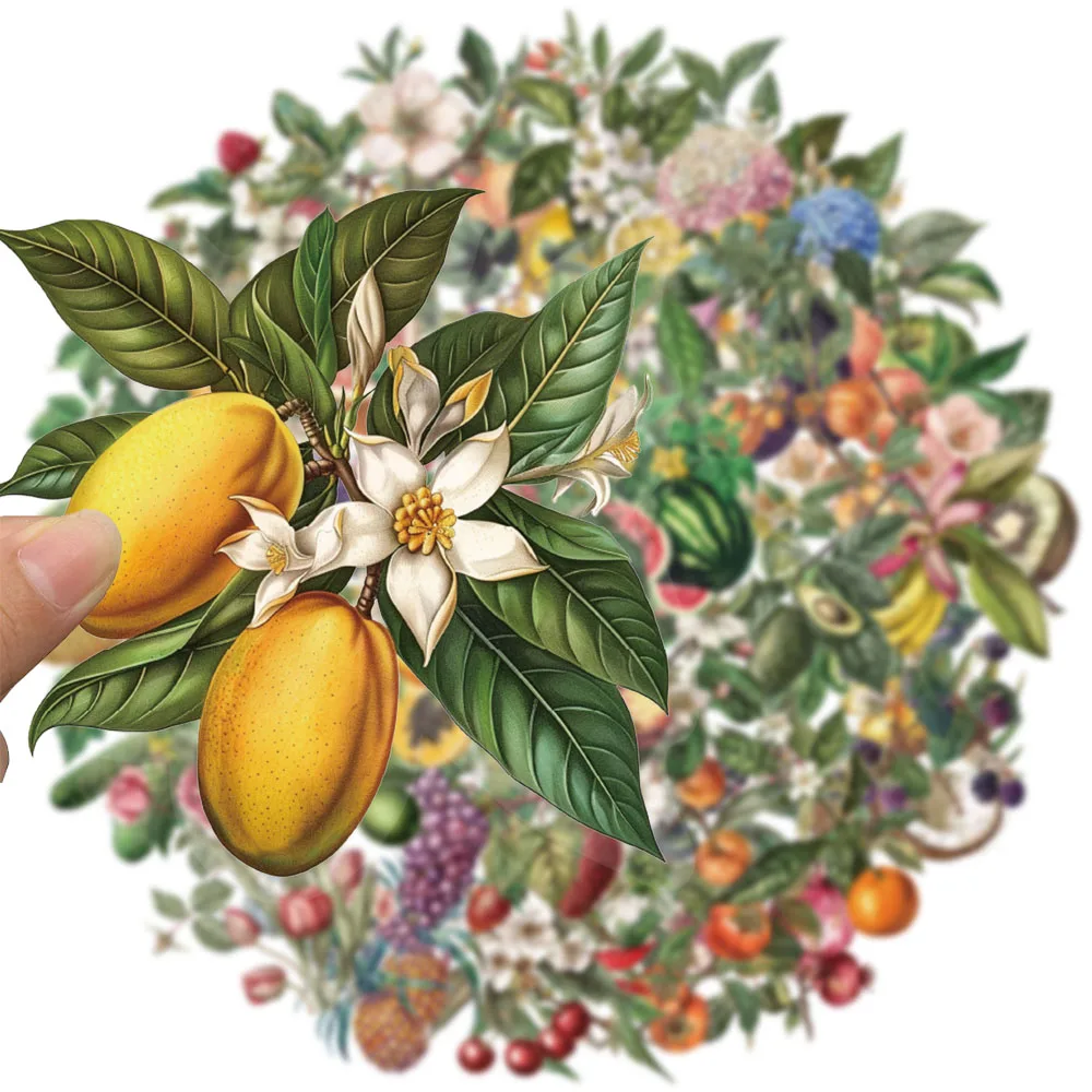 yZ[z50 t[cfR[VXebJ[ DIY XP[g{[hוM^[dbP[XI[goCXebJ[