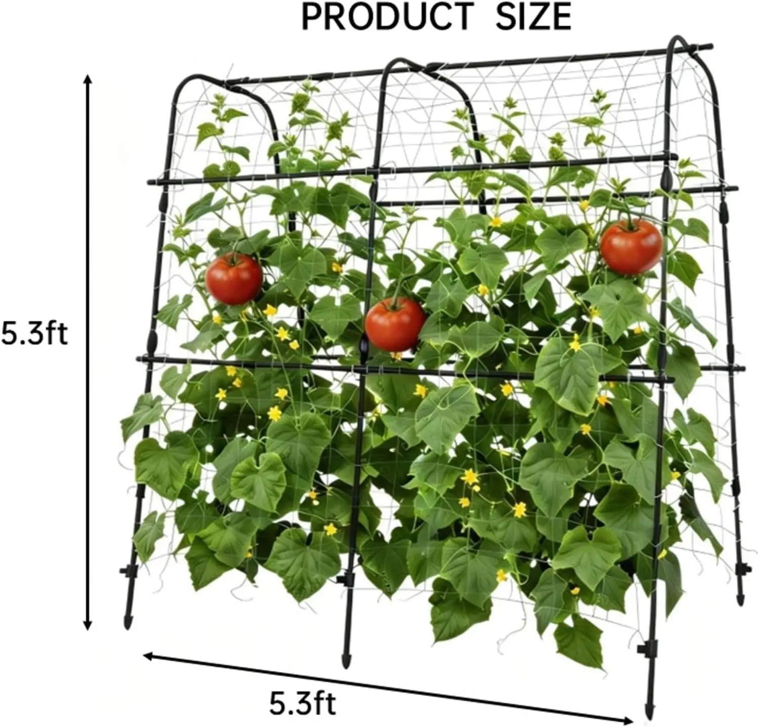 5.3FT Arch Garden Trellis Vertical Garden Planter for Balcony/Patio Grow Herbs & Vegetables Indoors/Outdoors Space-Saving Ivy Fence Hedge Expanding Trellis