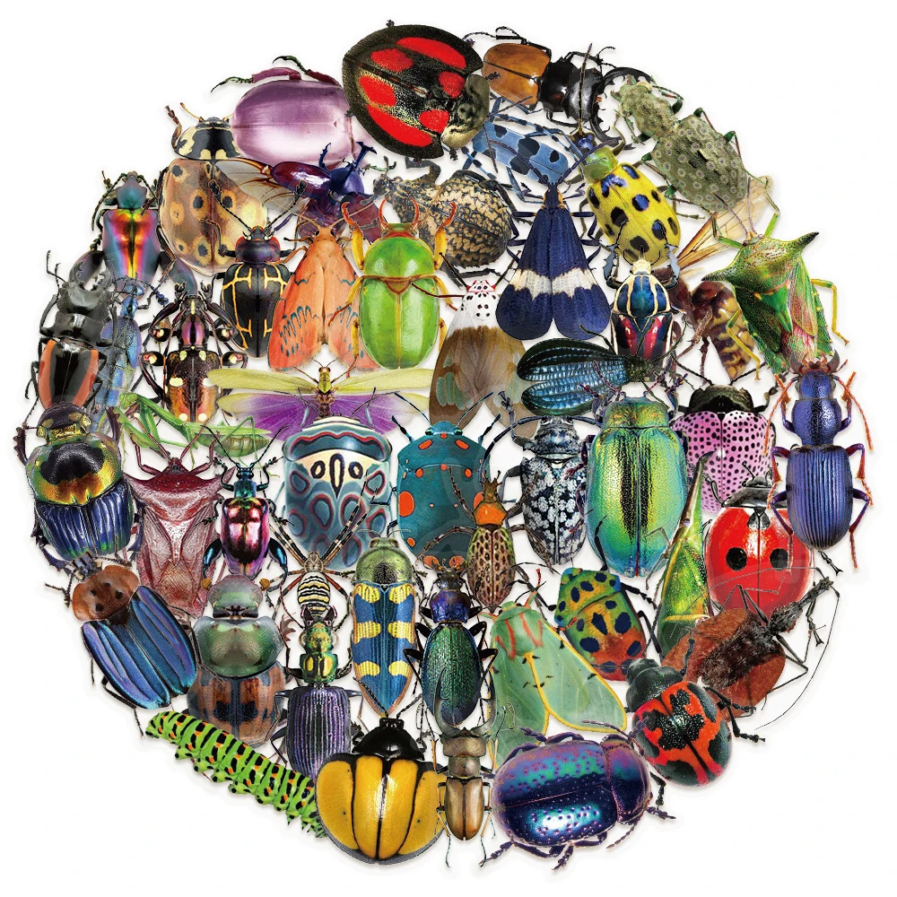 10/30/50pcs Cartoon Transparent Realistic Insect Beetle Stickers DIY Laptop Fridge Suitcase Cool Scrapbooking Decoration Sticker