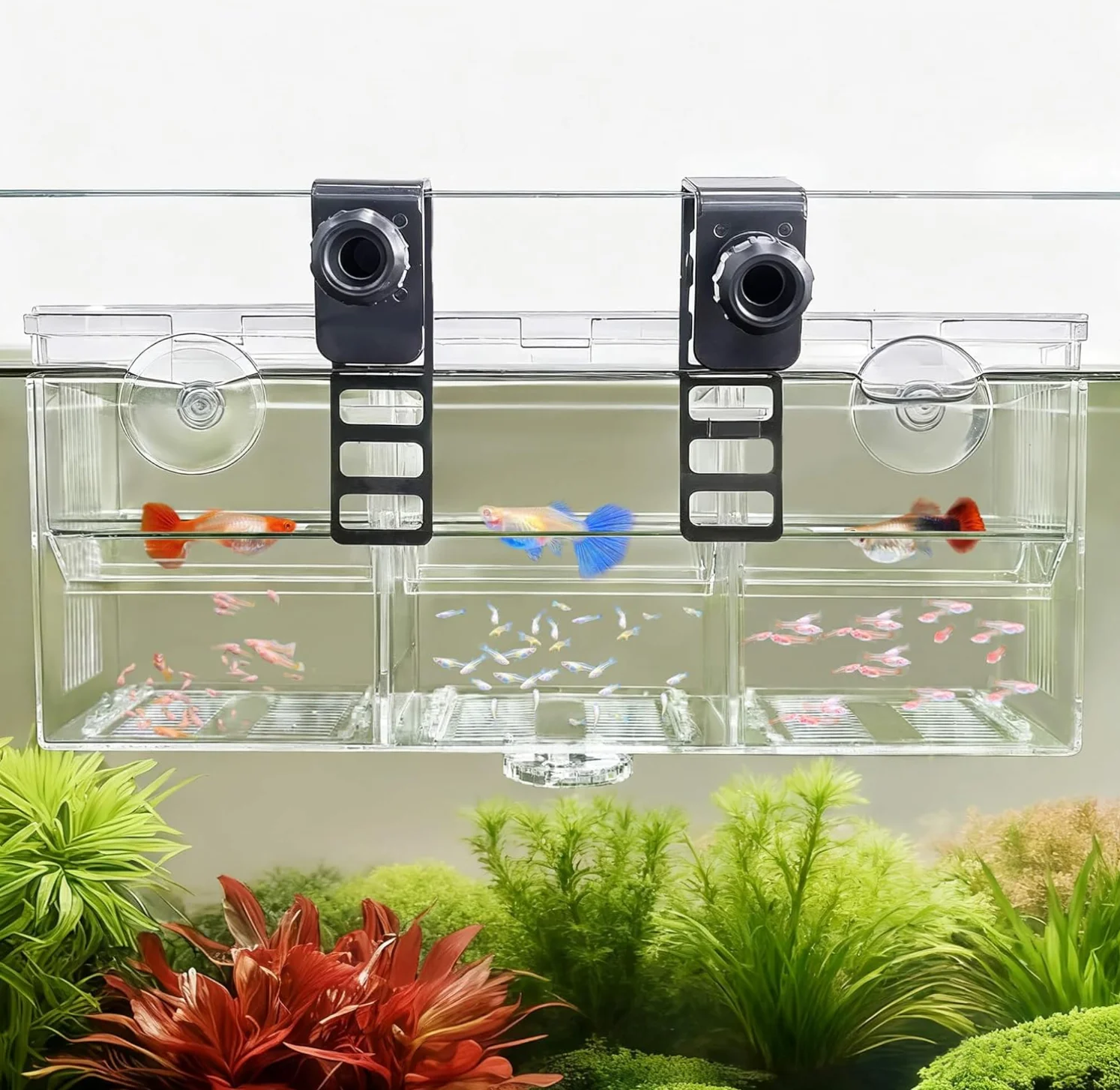 

Aquarium Fish Breeder Box Transparent Betta Fish Tank Fish Breeding Isolation Box Hatching Incubator Box For Baby Fish Shrimp