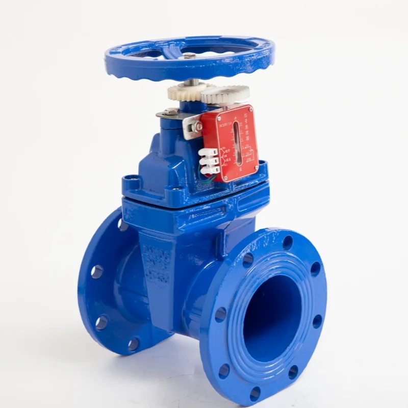 High efficiency cast iron flanged DN150 non-floating stem signal soft seal gate valve for water supply