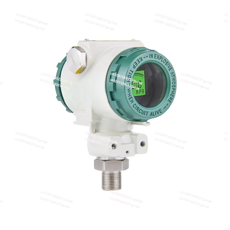 Transmitter with digital display 4-20mA hammer type 2088 high-precision water pressure sensor RS485