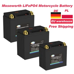 12V 8AH LiFePO4 Motorcycle Battery 9AH Lithium iron Phosphate LiFePO4 Batteries With BMS BMW GS Harley 12V Rechargeable Battery