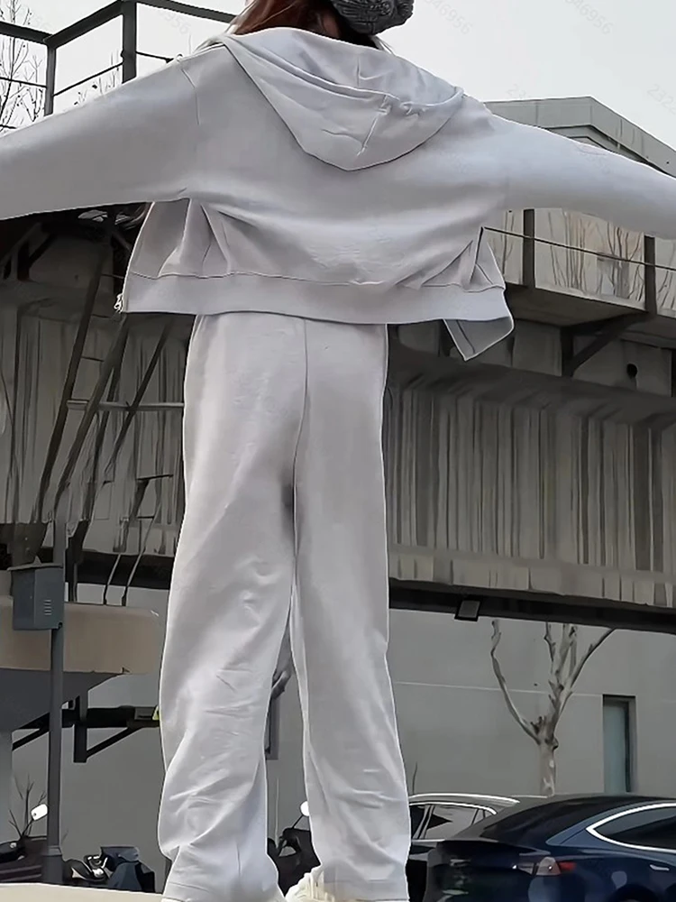 Conjunto de sudadera de manga larga con cremallera para mujer, conjunto de dos piezas holgado y versátil de estilo coreano para estudiantes, ajustado, a la moda, primavera y otoño