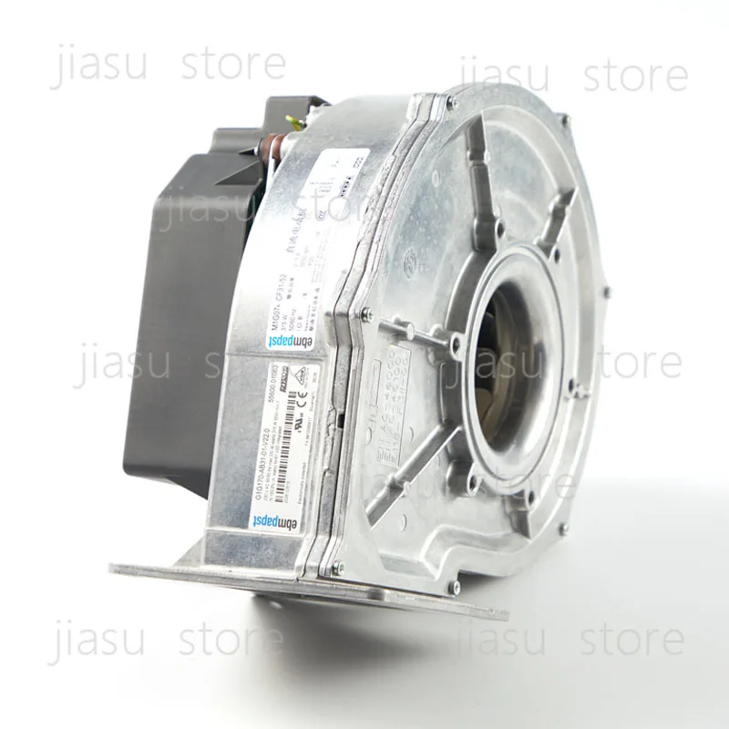 G1G170-AB31 Inverter combustion blower premixed low nitrogen condensing boiler steam Heidelberg
