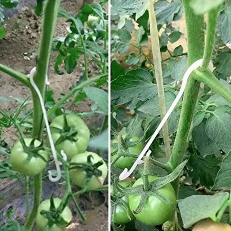 50Pcs Plant Support Hooks Tomato Vine Fixing Clips Indoor Outdoor Potted Garden Accessories Retro Multi-component Design For Veg