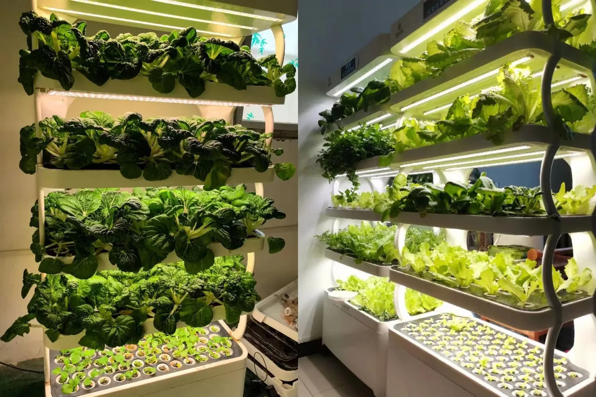 الزراعة المائية الجديدة نظام Aquaponic العمودي نظام الزراعة المائية برج الاستخدام الداخلي #1